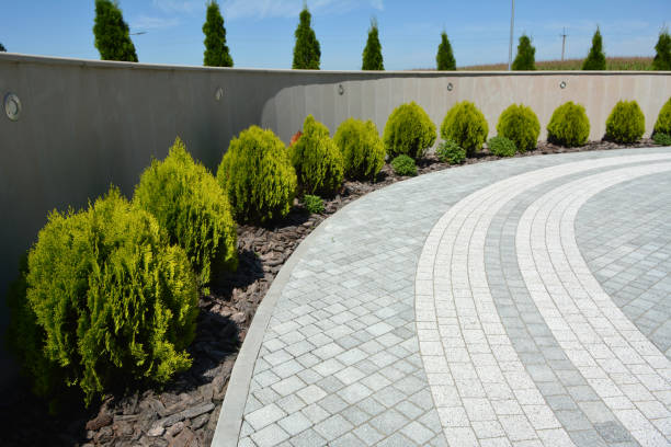 Best Best Driveway Pavers  in New Albany, MS